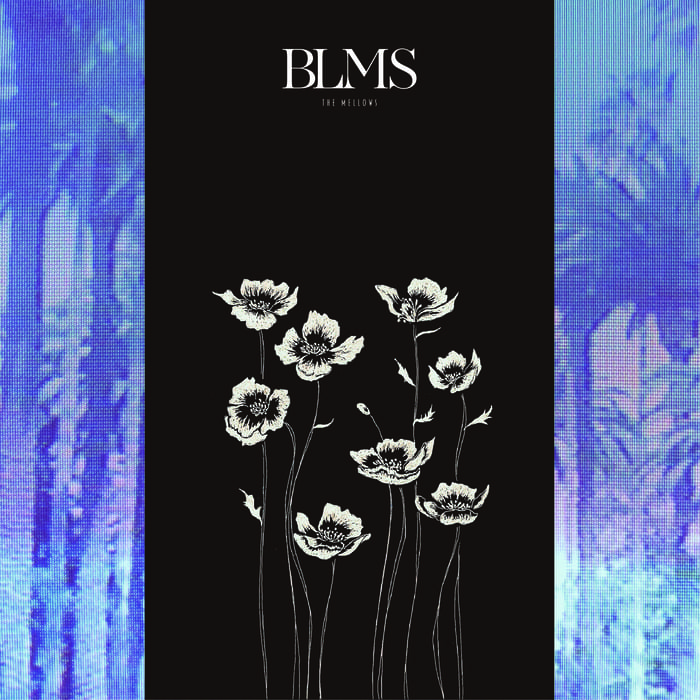 The mellows（ザ・メロウズ）『BLMS』