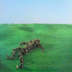 Squid(スクイッド)『BRIGHT GREEN FIELD』