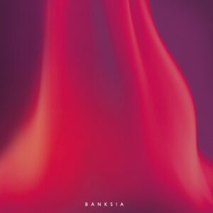 シングル - Banksia