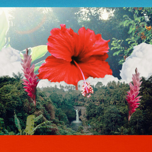 Daisy Jaine - Tropical Island