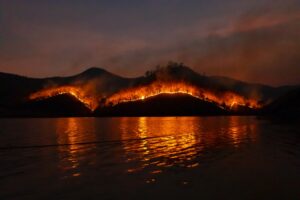 “ブラックサマー”と呼ばれる山火事
