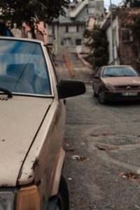 roadkill