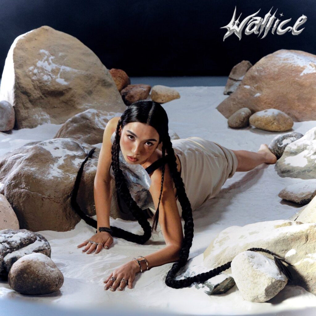 Wallice EP Cover final small