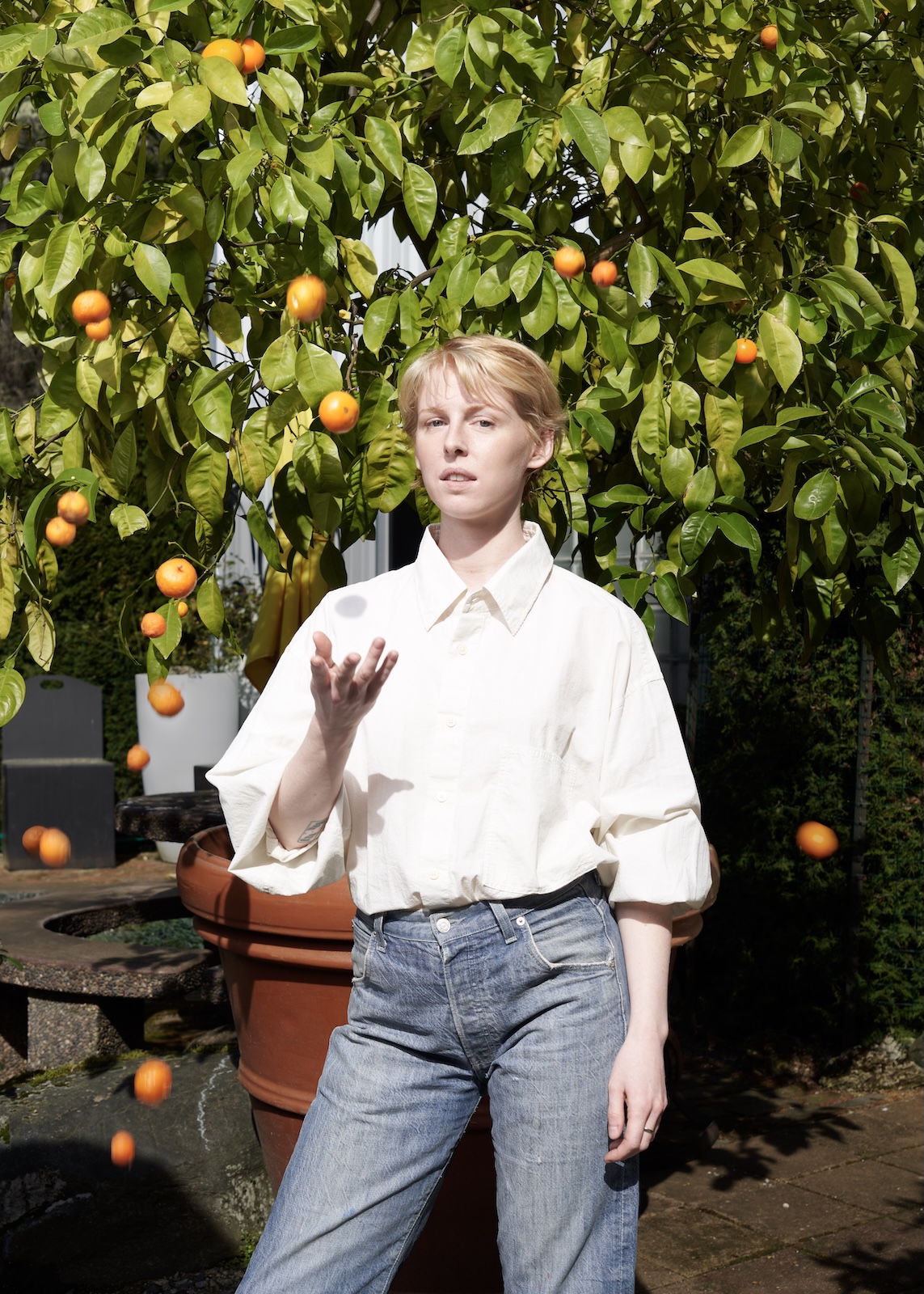 Fenne-orange